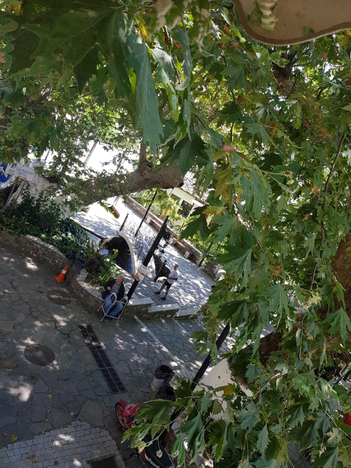 Amaya Pine Studio Παναγία Εξωτερικό φωτογραφία
