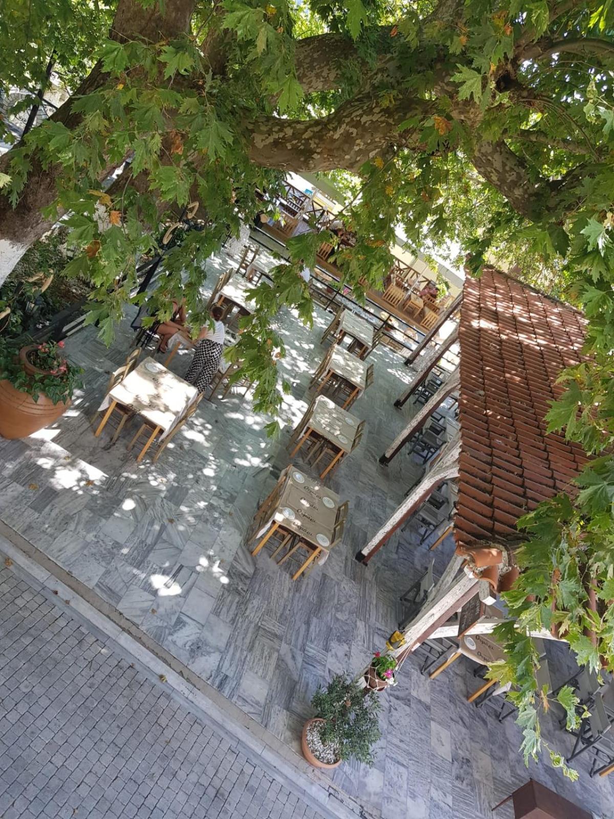 Amaya Pine Studio Παναγία Εξωτερικό φωτογραφία